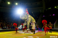 Цирк Инди Ра, Фото: 65