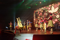 «Народный» концерт Надежды Кадышевой, Фото: 109