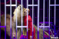 Шоу фонтанов «13 месяцев» в Тульском цирке – подарите себе и близким путевку в сказку!, Фото: 79