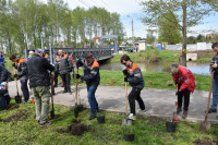 Сотрудники «ЕВРАЗ Ванадий» Тулы посадили деревья в Баташевском саду, Фото: 3