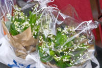 Ника Здорик представила тулякам сериал Ландыши, Фото: 9