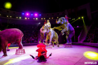 Цирк Инди Ра, Фото: 62