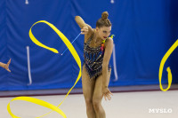 В Туле стартовало первенство Центрального федерального округа по художественной гимнастике, Фото: 47