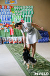 Выставка собак в Туле, Фото: 69