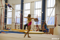 Спортивная гимнастика в Туле 3.12, Фото: 106