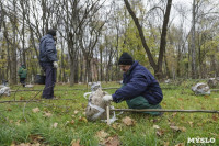 Высадка деревьев в Рогожинском парке, Фото: 4