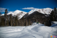 Состязания лыжников в Сочи., Фото: 28