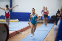 Всероссийские соревнования по спортивной гимнастике, Фото: 53