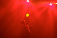 "Легенда": в тульском цирке – новая программа, Фото: 30