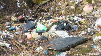 Поселок Славный в Тульской области зарастает мусором, Фото: 26