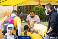 Семейный фестиваль «Школодром-2022» в Центральном парке Тулы: большой фоторепортаж и видео, Фото: 129