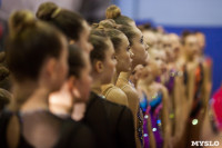 Всероссийские соревнования по художественной гимнастике на призы Посевиной, Фото: 16