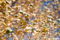 Золотая осень по-тульски, Фото: 153