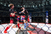 В «Тула-Арене» состоялись областные соревнования по ММА, Фото: 11