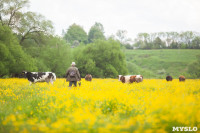 Коровы, свиньи и горы навоза в деревне Кукуй: Роспотреб требует запрета деятельности токсичной фермы, Фото: 8