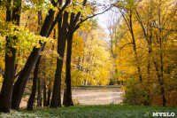 Золотая осень в Ясной Поляне, Фото: 92