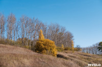 Золотая осень по-тульски, Фото: 158
