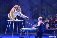 Цирковое шоу, Фото: 114