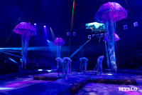 Цирковое шоу Жар птица, Фото: 117