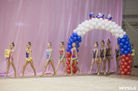 Всероссийский турнир по художественной гимнастике, Фото: 9