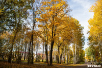 Золотая осень в Туле-2019, Фото: 67