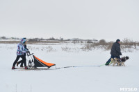 Праздник северных собак на Куликовом поле , Фото: 69