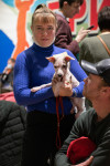 В Туле прошла выставка собак всех пород, Фото: 31