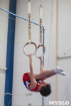 Мужская спортивная гимнастика в Туле, Фото: 22