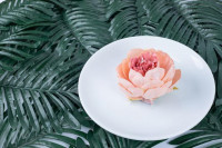 , Фото: 4