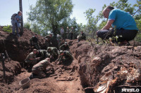 Останки бойцов в деревне Криволучье, Фото: 10