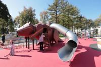 Губернатор с рабочим визитом посетил Новомосковск, Фото: 14