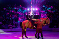 Успейте посмотреть шоу «Новогодние приключения домовенка Кузи» в Тульском цирке, Фото: 114