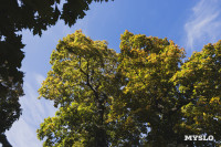 Всехсвятское кладбище, Фото: 66