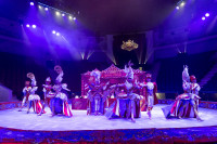 Цирковое шоу 5 континентов , Фото: 78