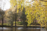 Золотая осень по-тульски, Фото: 67