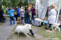 Выставка собак в Высоком, Фото: 43