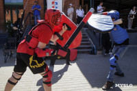 В центре Тулы рыцари устроили сражение: фоторепортаж, Фото: 111