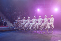 Выпускной бал в Тульском цирке, Фото: 73