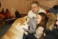 В Туле прошла всероссийская выставка собак, Фото: 9