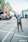 Всероссийская выставка собак в Туле, Фото: 124