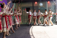 Яркие краски «Национального калейдоскопа»: в Туле прошел фестиваль национальных культур, Фото: 13