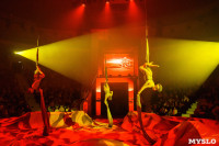 Искусство иллюзии и вера в чудо: в Тульском цирке стартовала программа «Загадка старой игрушки», Фото: 48