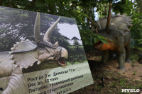 В Туле появился парк с интерактивными динозаврами, Фото: 10