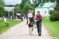 Агриппина Стеклова на фестивале Толстой, Фото: 17