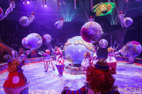 Шоу Гии Эрадзе «5 континентов» в Тульском цирке: феерия уже началась!, Фото: 2