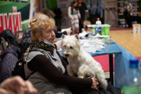 В Туле прошла выставка собак всех пород, Фото: 62