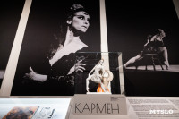 В тульском Фонде искусств открылась выставка, посвященная Майе Плисецкой, Фото: 12