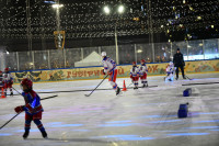 «Академия Михайлова» и Губернский каток 2025, Фото: 5