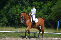 В Ясной поляне стартовал турнир по конному спорту, Фото: 102