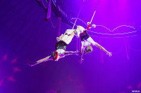 Шоу Гии Эрадзе «5 континентов» в Тульском цирке: феерия уже началась!, Фото: 8
